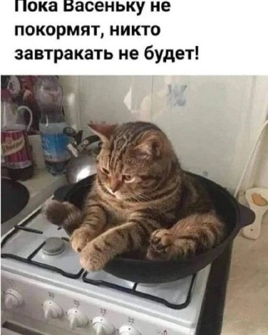 Looky_172465077565846 в LOOKY. . 