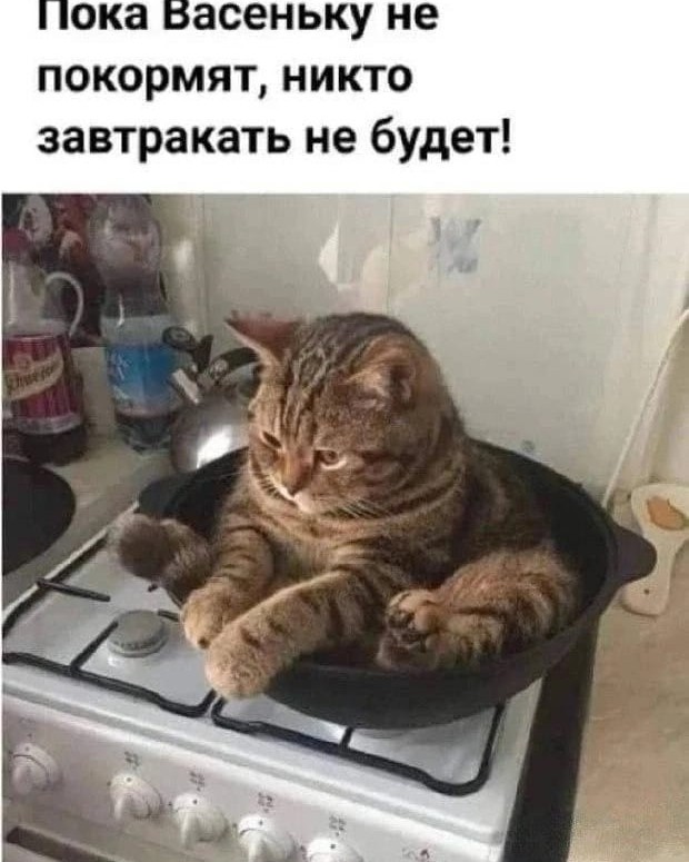Looky_172465077565846