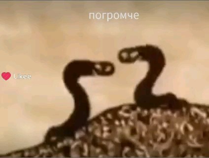 Алекс в LOOKY. . Помните? Это аноротс...