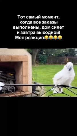 tortiana_dessertovna в LOOKY. . Выходной☺️☺️☺️