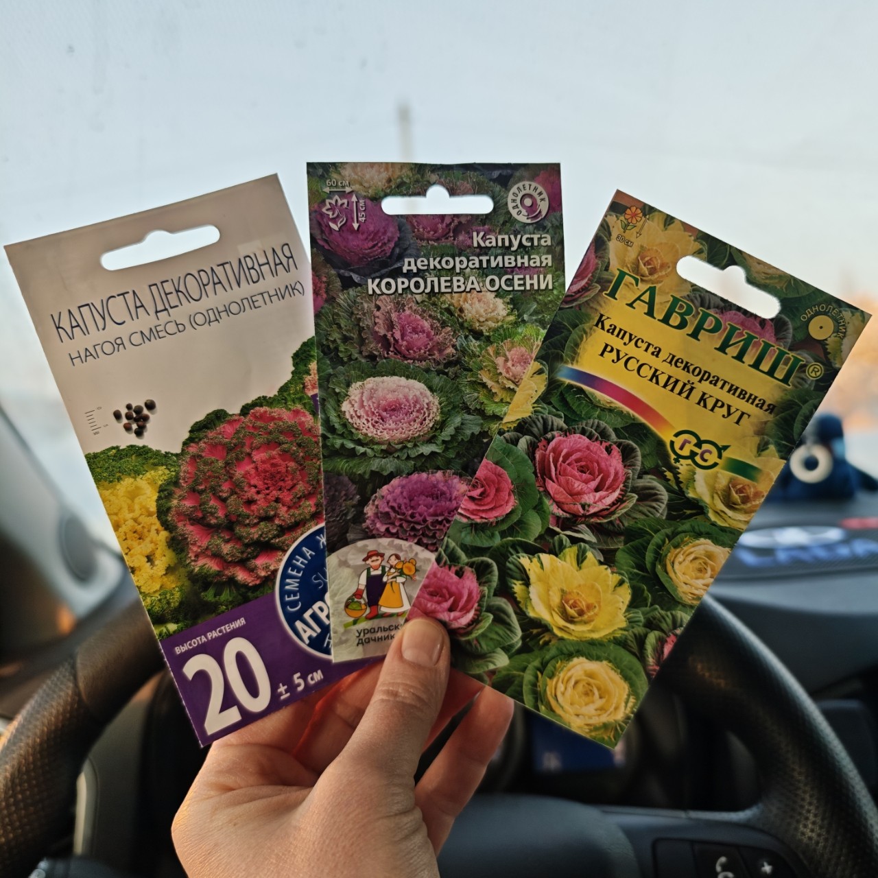 lomka в LOOKY. . В этом сезоне попроб...