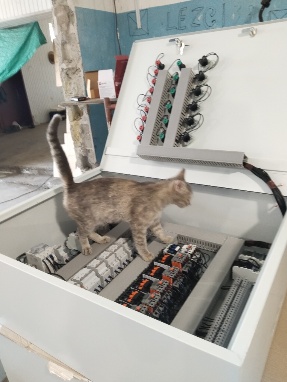 Окончательная проверка монтажа. Ошибок не выявлено. 🤣🤣🤣🐺