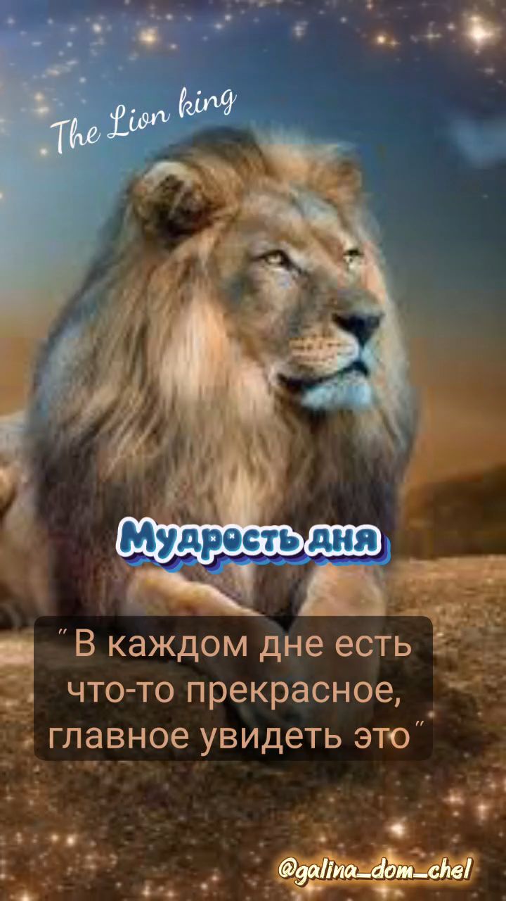 galina_dom_chel в LOOKY. #мудростьдня,#мудрыемысли,#мудрыеслова,#мудрость,#мудрыемысливеликихлюдей,#мудростьопыт,#мудростьопыта. Послушать можете под...