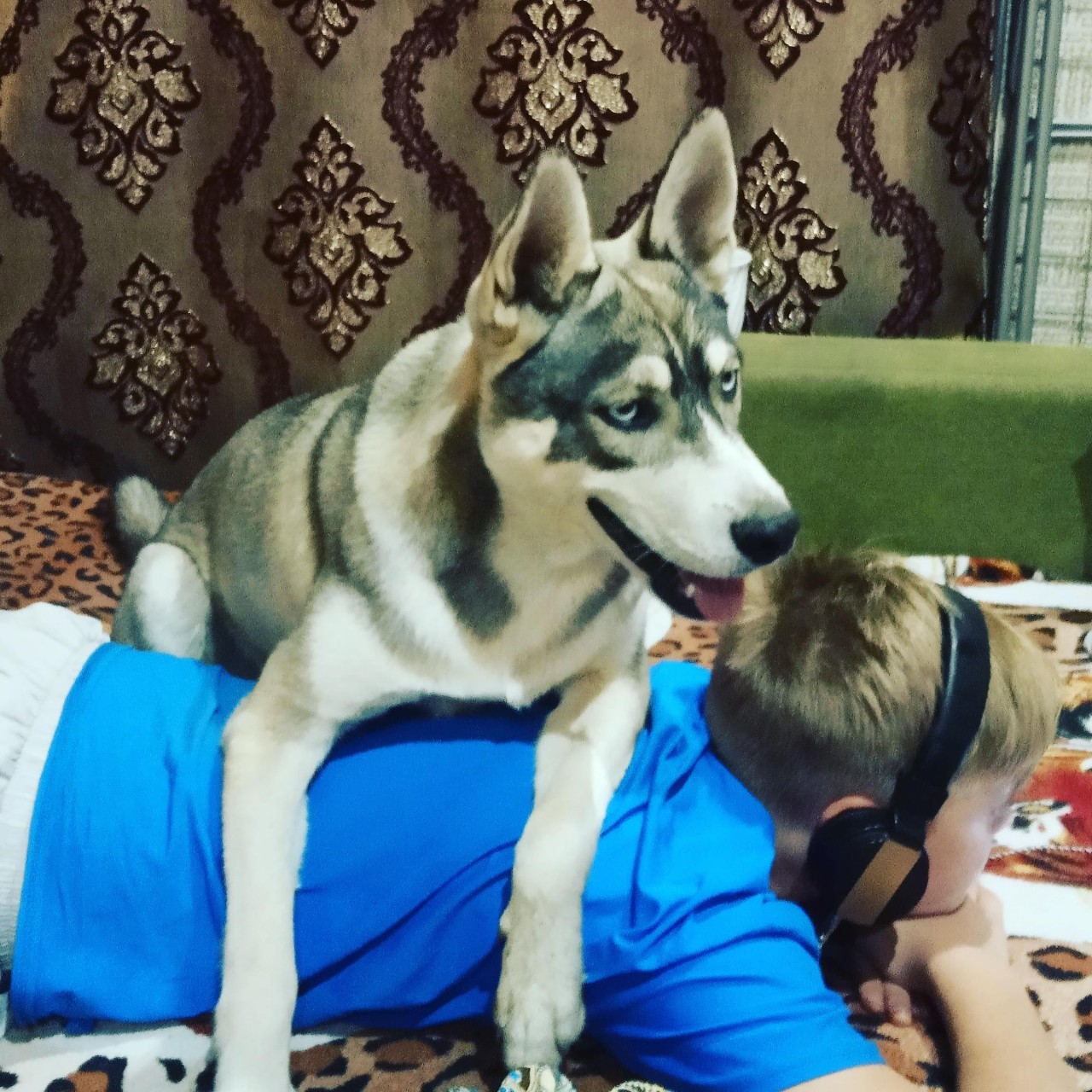 #Looky_Бетховен 
[#LOOKY_топ](LOOKY_топ) [#LOOKY_Бетховен](LOOKY_Бетховен) 