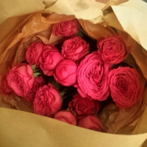 rina_veli в LOOKY. . приключения курьерск...