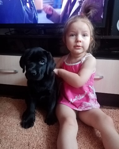 valentinprokudin в LOOKY. . 