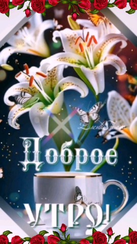 Looky_173278116171457 в LOOKY. . 