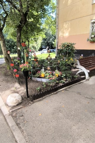 alehapopovich в LOOKY. . Красота вокруг нас, ...