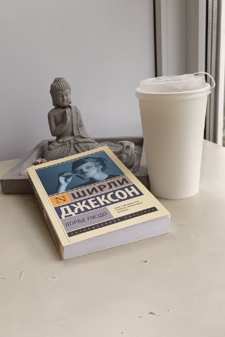 marinaantsyreva в LOOKY. #shirleyjackson. Живет милая девушка ...