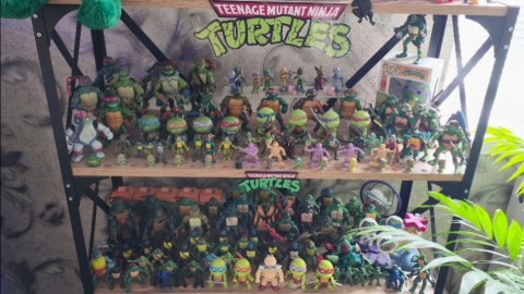 Игорь Косенький в LOOKY — Моя коллекция Черепашек-Ниндзя 🍕🐢🐢🐢🐢
А что коллекционир