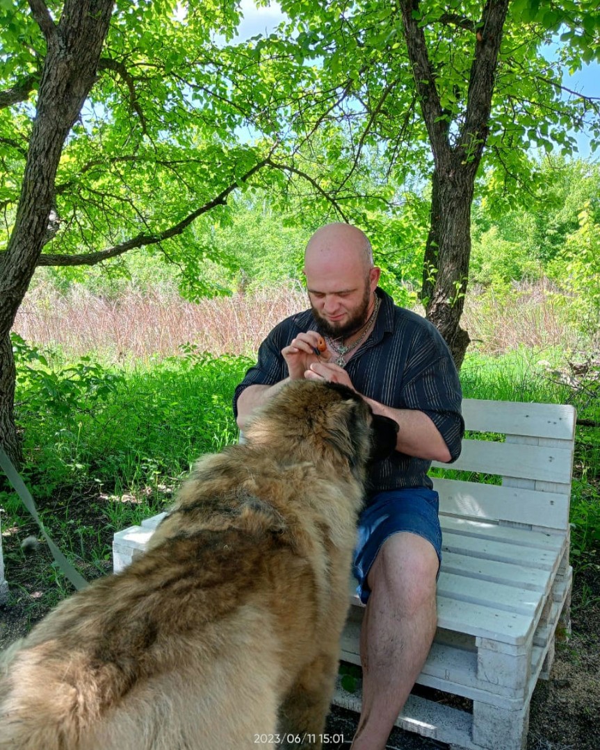 SLP в LOOKY — публикация