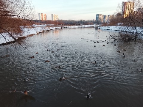 Чепай в LOOKY. #весна,#вода. Пришла весна пришла ...