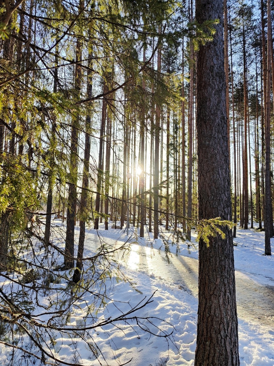 Виктор in LOOKY. #весна
#карелия,#karelia,#karjala,#живувкарелии,#веснавпетрозаводске
#petroskoi,#petrozavodsk,#петрозаводск,#природа,#природакарелии,#photonature,#naturephoto
#looky,#looky_official,#LOOKY_контент,#looky_you,#you,#looky_топ. Карелия☀️
#веснавкар...