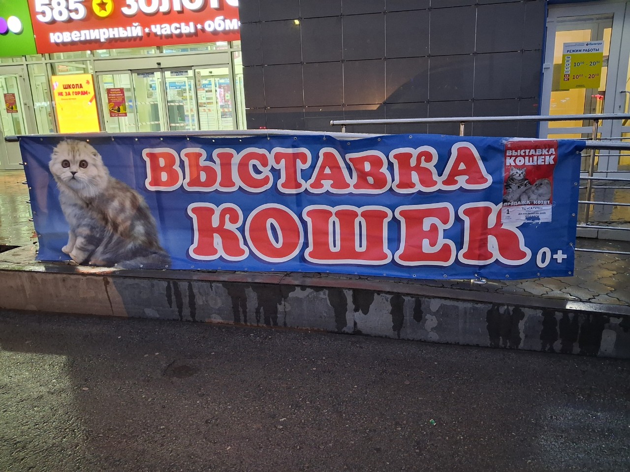 alex_shilyaev_1999 в LOOKY — Выставка кошек.

Торговый центр «Сатурн» (4 этаж), город Чус