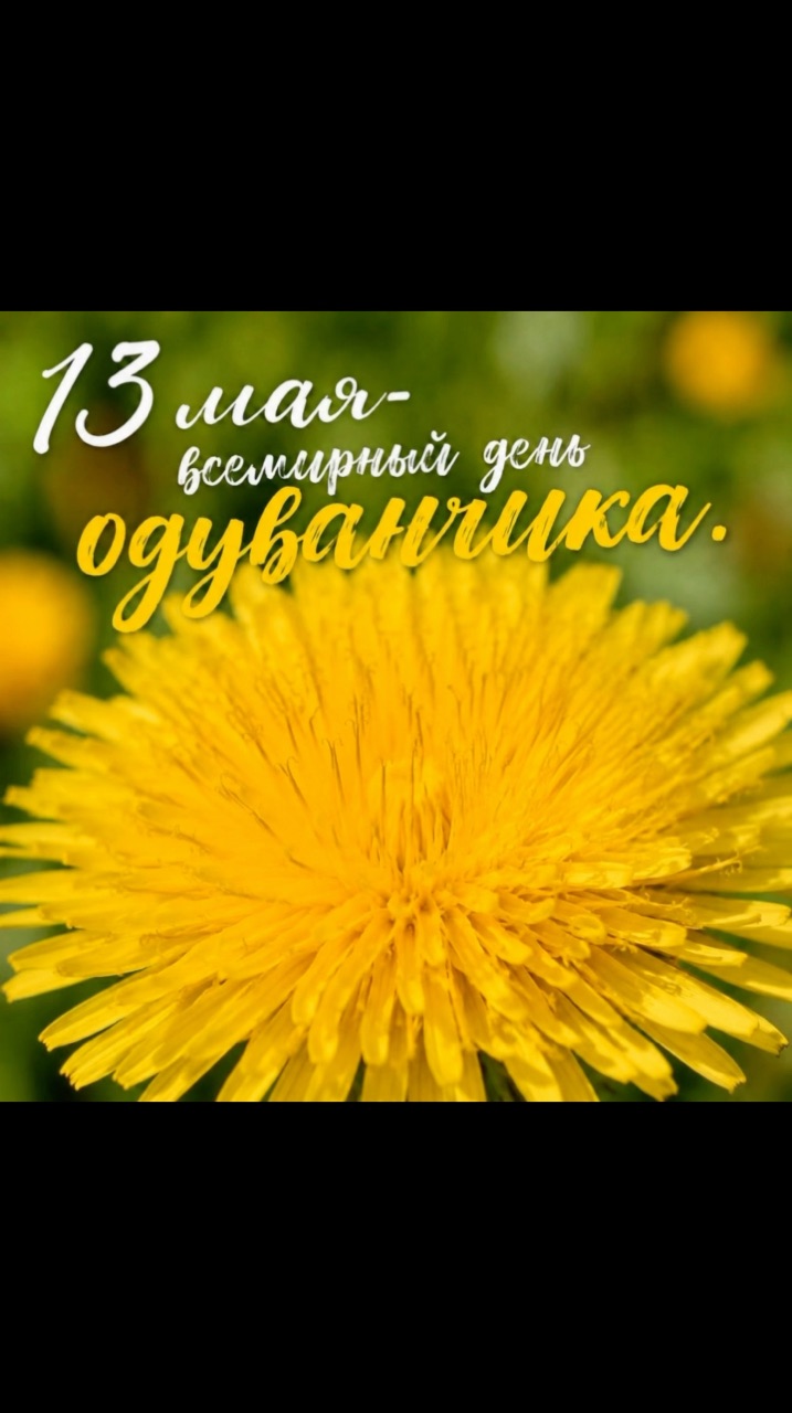Мария Юдаева в LOOKY. #одуванчики#деньодуванчика#иивидео#маленькийпраздник. С днём одуванчика! �...
