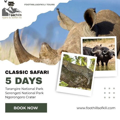Foothillsofkili Tours в LOOKY. #foothillsofkili,#tanzaniasafari,#explore,#tanzaniaunforgettable,#adventure,#nature,#tanzanianationalparks,#bigfive,#visittanzania. Safari is about the ...