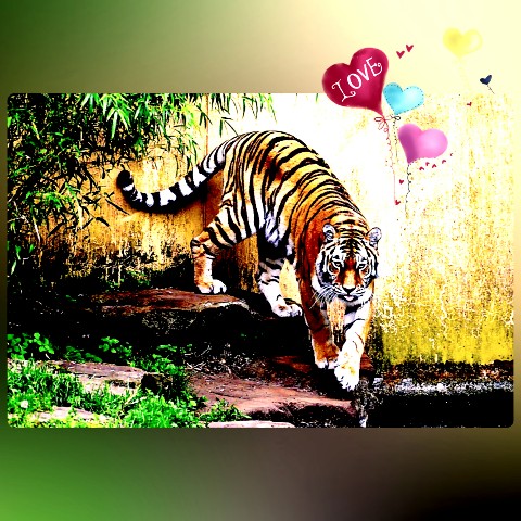 Looky_1678392850929 в LOOKY. . 