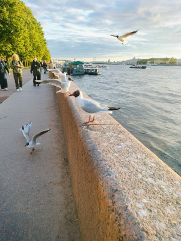 mika_96 в LOOKY. . 