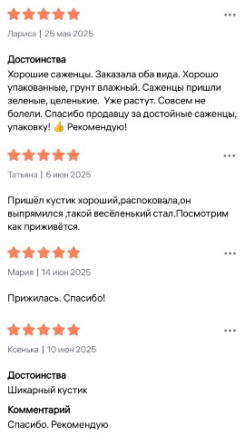 VayaGarden в LOOKY. . Давненько не публико...