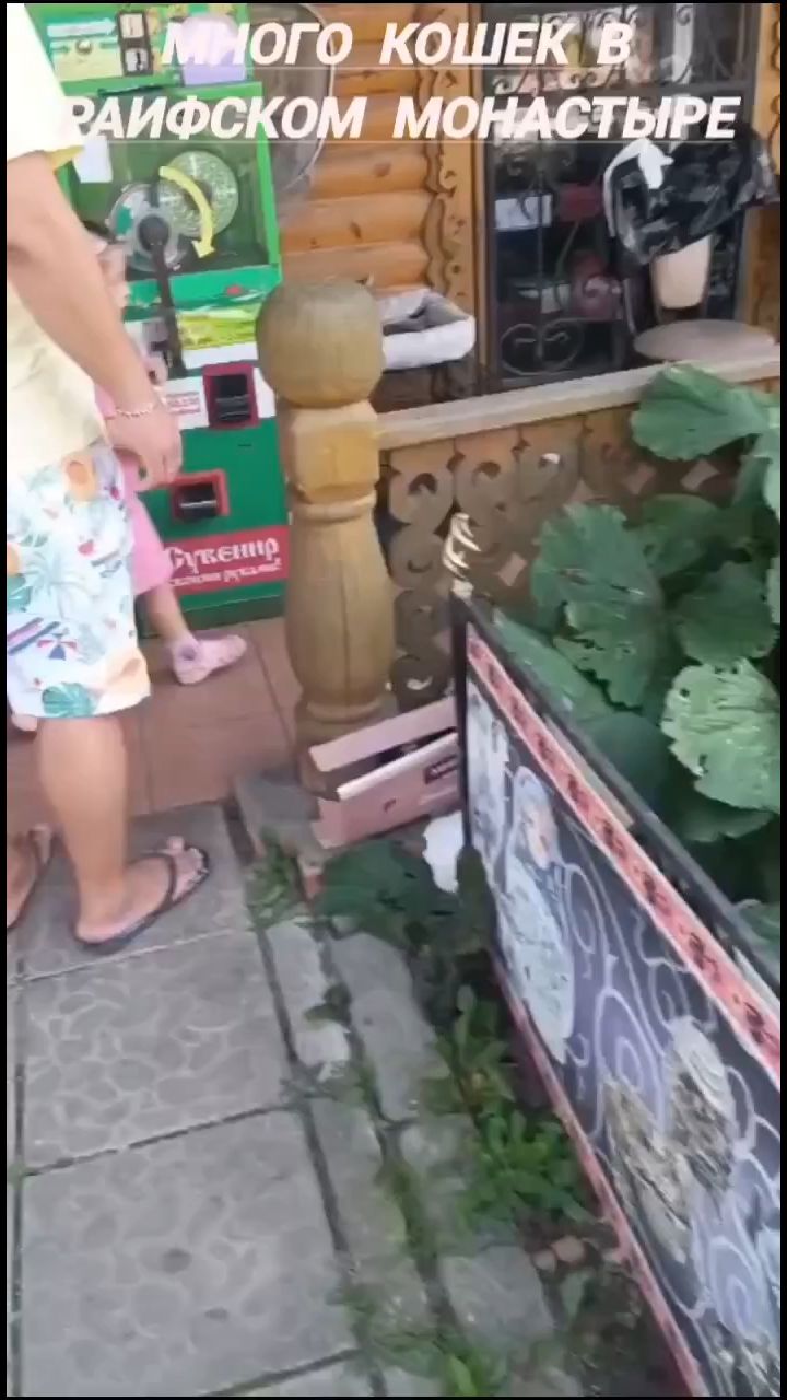  в LOOKY — Дети
