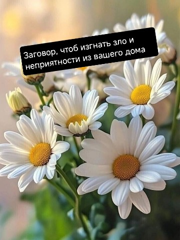 Виктория Фэйнс в LOOKY. . 🌈ЗАГОВОР, ЧТОБЫ РАЗ...