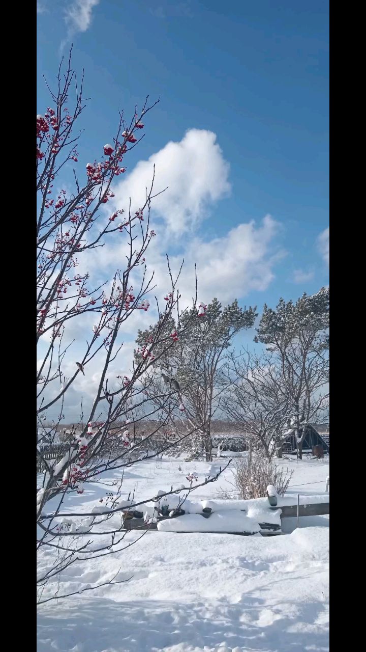 Оксана in LOOKY. . ❄️❄️❄️