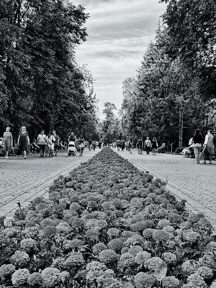 Mar.Vil_foto в LOOKY — публикация