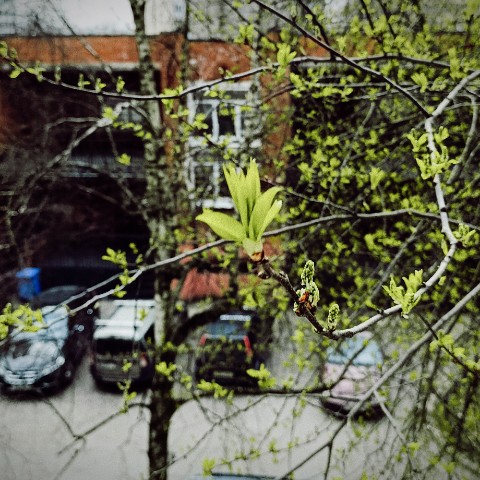Анна в LOOKY. . 🌱

[#весна ](весна)...