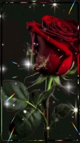 в LOOKY — ✨🌙🍁 ЧУДЕСНОГО И ТЁПЛОГО ВЕЧЕРА МОИ ДОРОГИЕ ДРУЗЬЯ 💕🤗🙏✨
