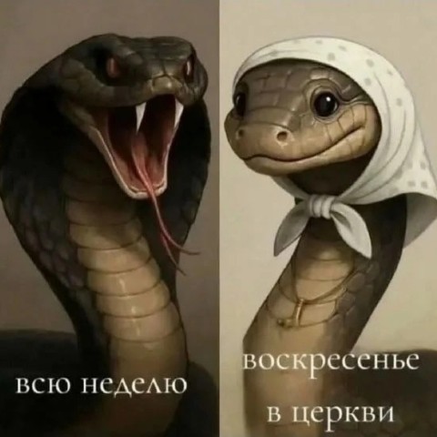 Looky_172389155958388 в LOOKY. . 