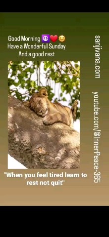 sanjivana com в LOOKY. . https://youtube.com/...