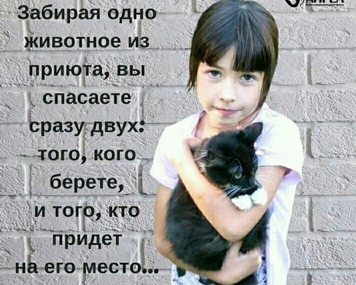 Zoozashita_1784473998Masha в LOOKY — публикация