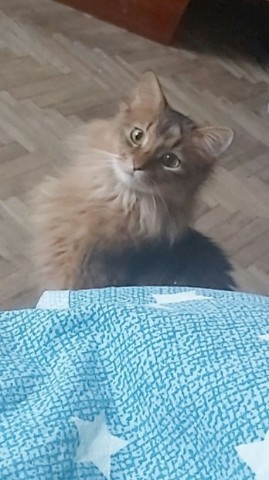 ХАнна в LOOKY. . Ну чё? СПИШЬ? 😳
[#к...