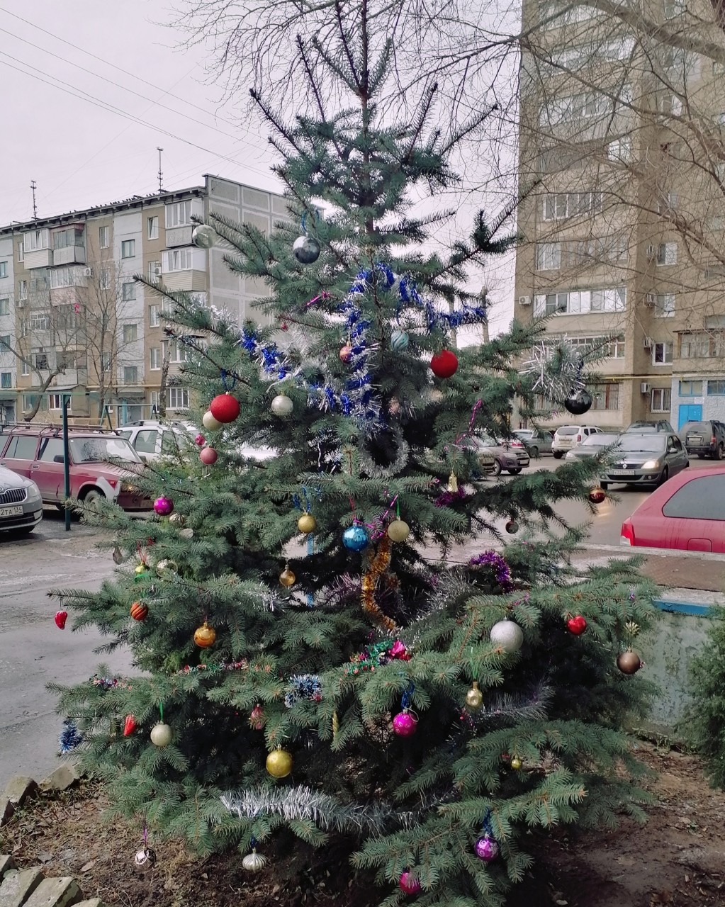 Татьяна Фадеева в LOOKY — фото 3