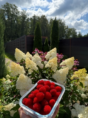 catherine___garden в LOOKY. . 