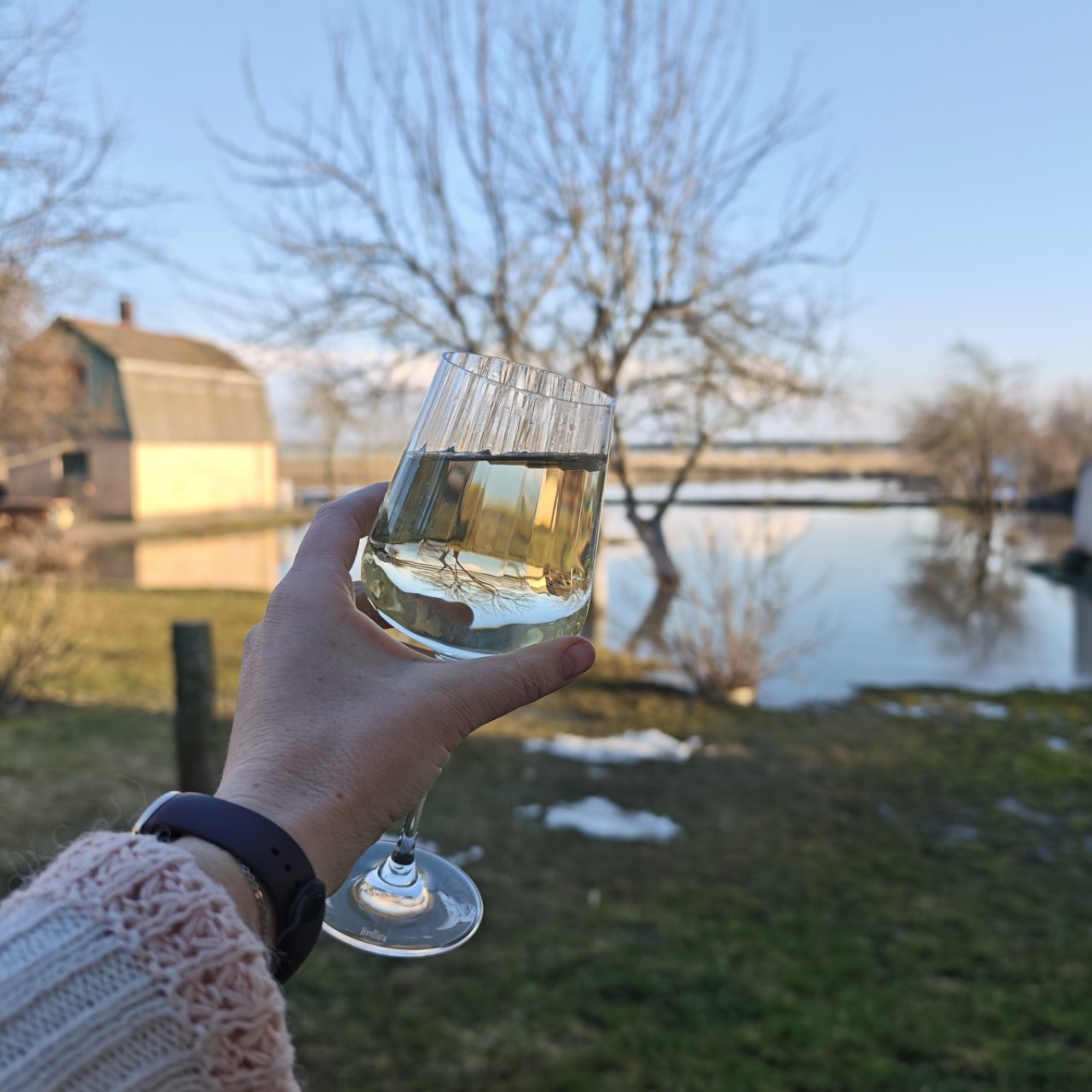 lomka в LOOKY — Если половодье неизбежно, не стоит отчаиваться🍸