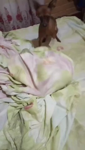 Kisina в LOOKY — Кто дома? 😁