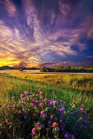 Looky_177955776433590 в LOOKY. . 