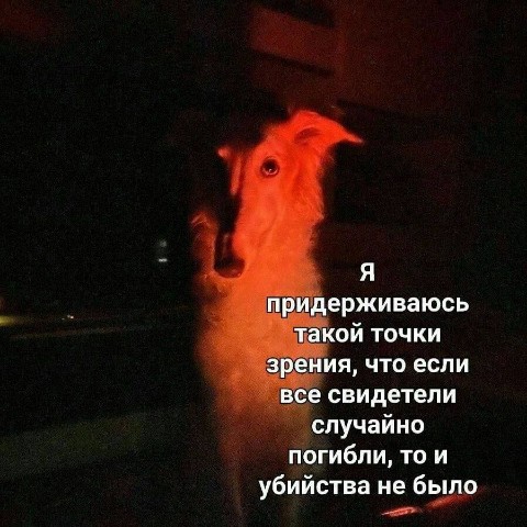 ira_shum в LOOKY. #иравместосториз,#юмор,#сарказм. #иравместосториз #юм...