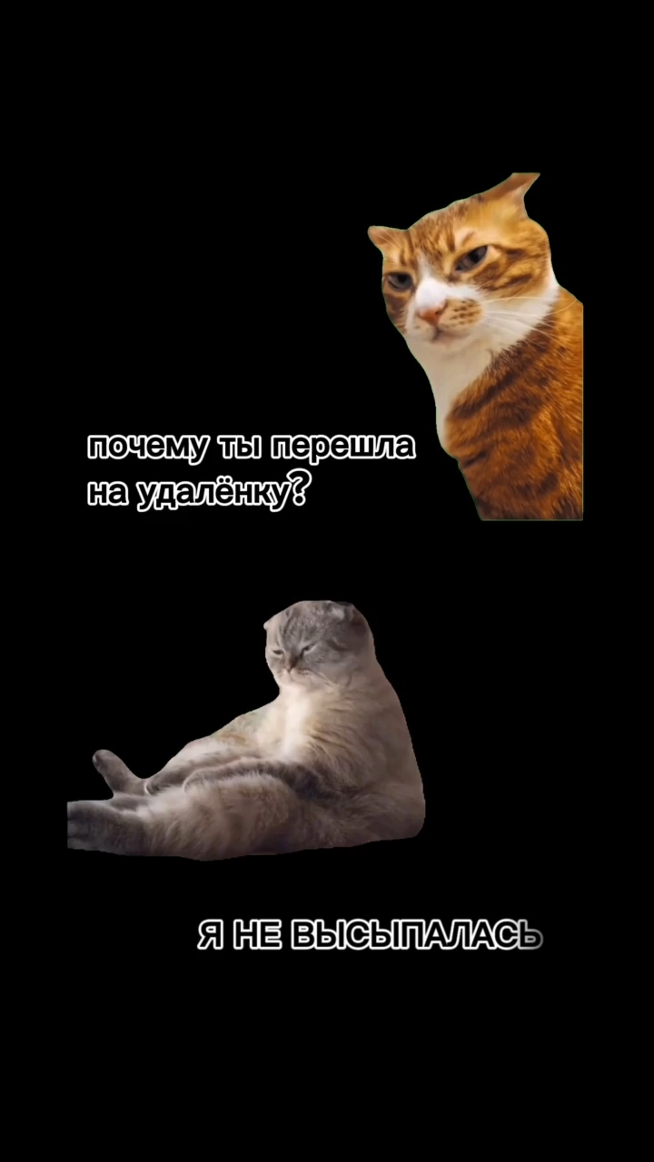 Настя_Кисс в LOOKY. #жаркиедни,#лучшаяверсиясебя,#фриланс,#заработокиздома,#длямам,#декрет,#доходонлайн. Хочешь спать до обед...