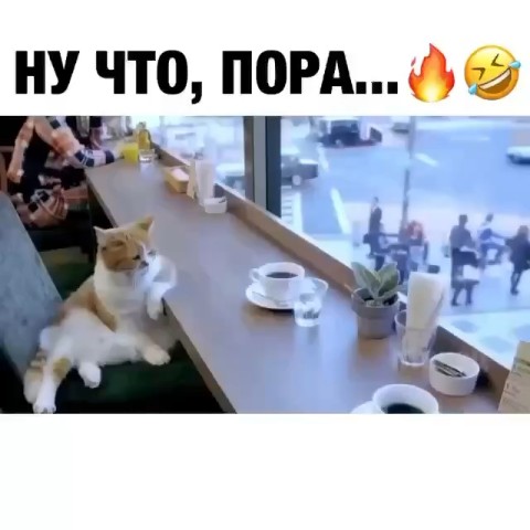 vodolej_nadi в LOOKY. . [#3сентября](3сентяб...