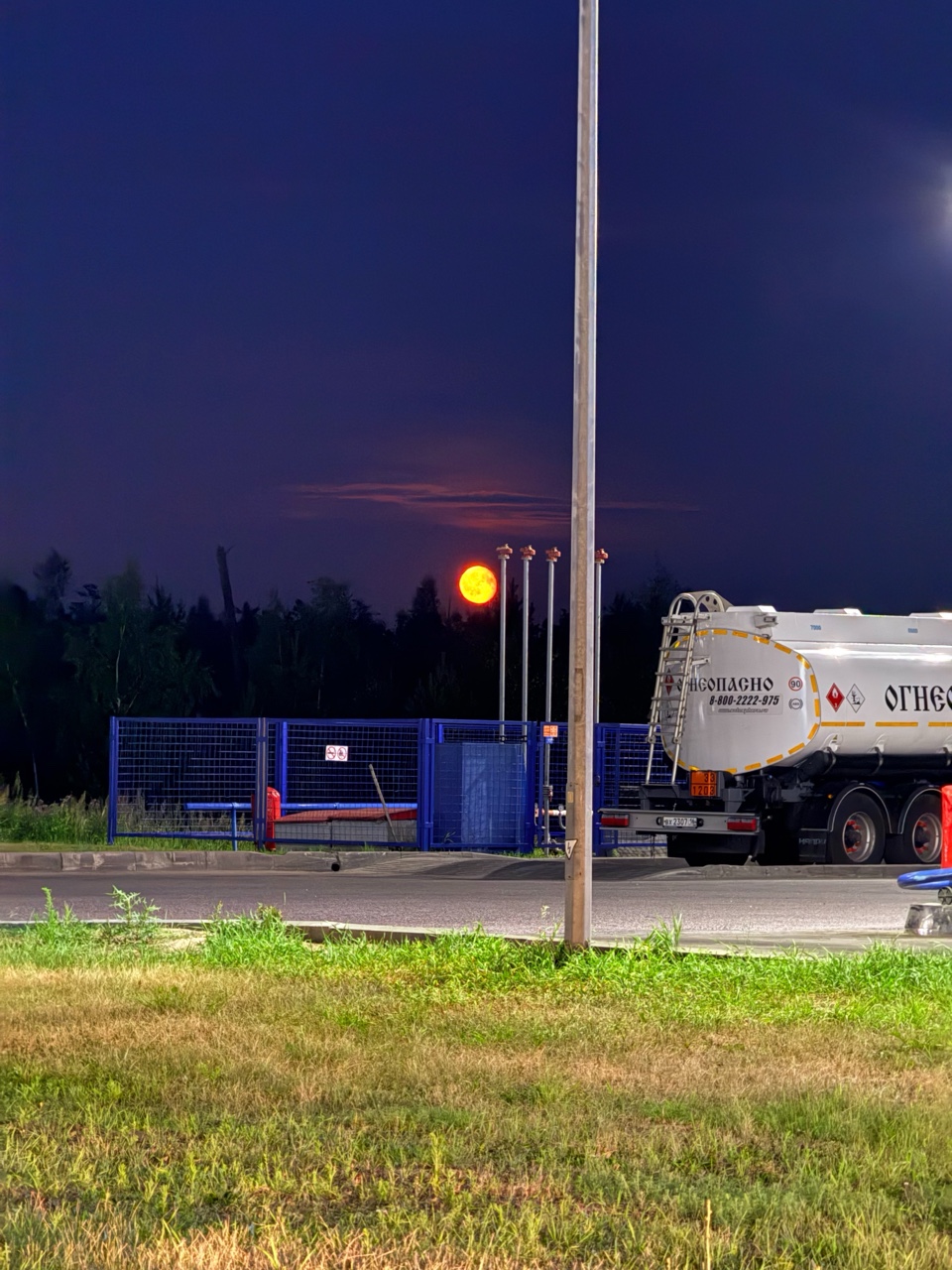 vasilyeva838j