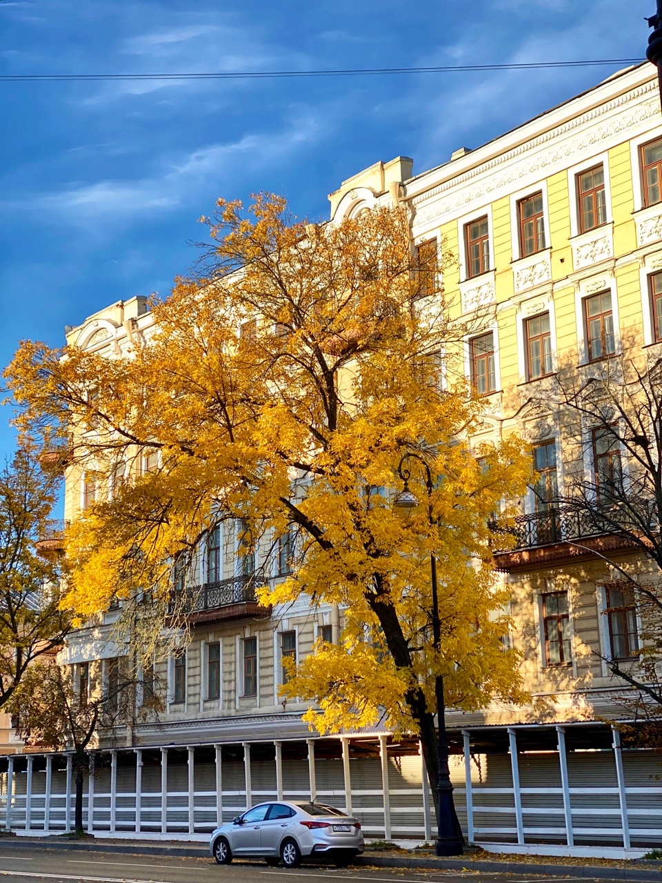 lifestyler_spb в LOOKY — [#золотаяосень ](золотаяосень)