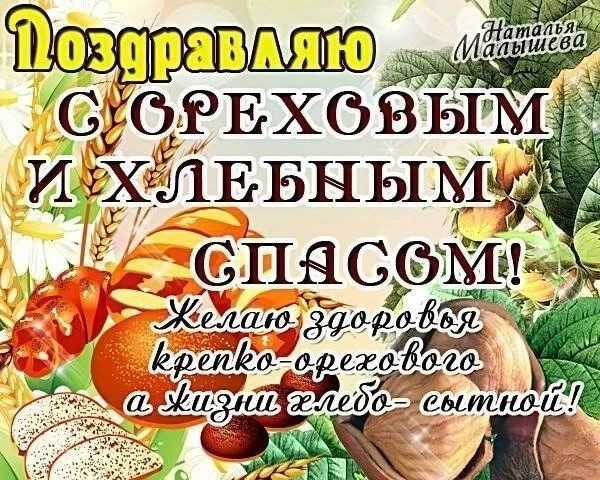 Сириус в LOOKY — публикация