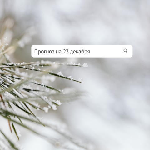 Казадаева Анастасия в LOOKY. #прогнозподате,#прогнозпогоды,#вторник,#декабрь2025,#зима,#будущее,#настоящее,#цифроваяпсихология,#расчет,#анализ,#подарки,#награда,#мечты,#деньги,#желания,#вдохновение,#потенциал,#рост,#масштаб,#карьера,#друзья,#семья,#любовь,#путешествия,#праздник,#новинки,#доход,#возможность,#планы,#идеи,#проект,#цели. 🗓23 декабря 2025, в...
