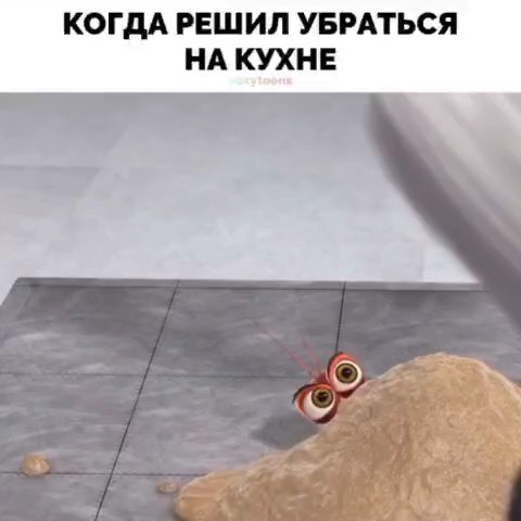 Dez_spb в LOOKY. . [#дезинфекция ](дези...