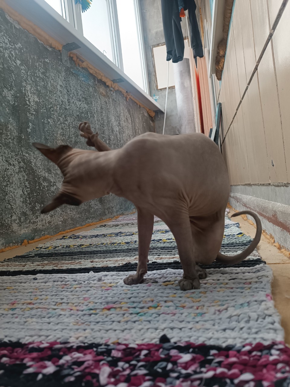 Елена в LOOKY — фото 2