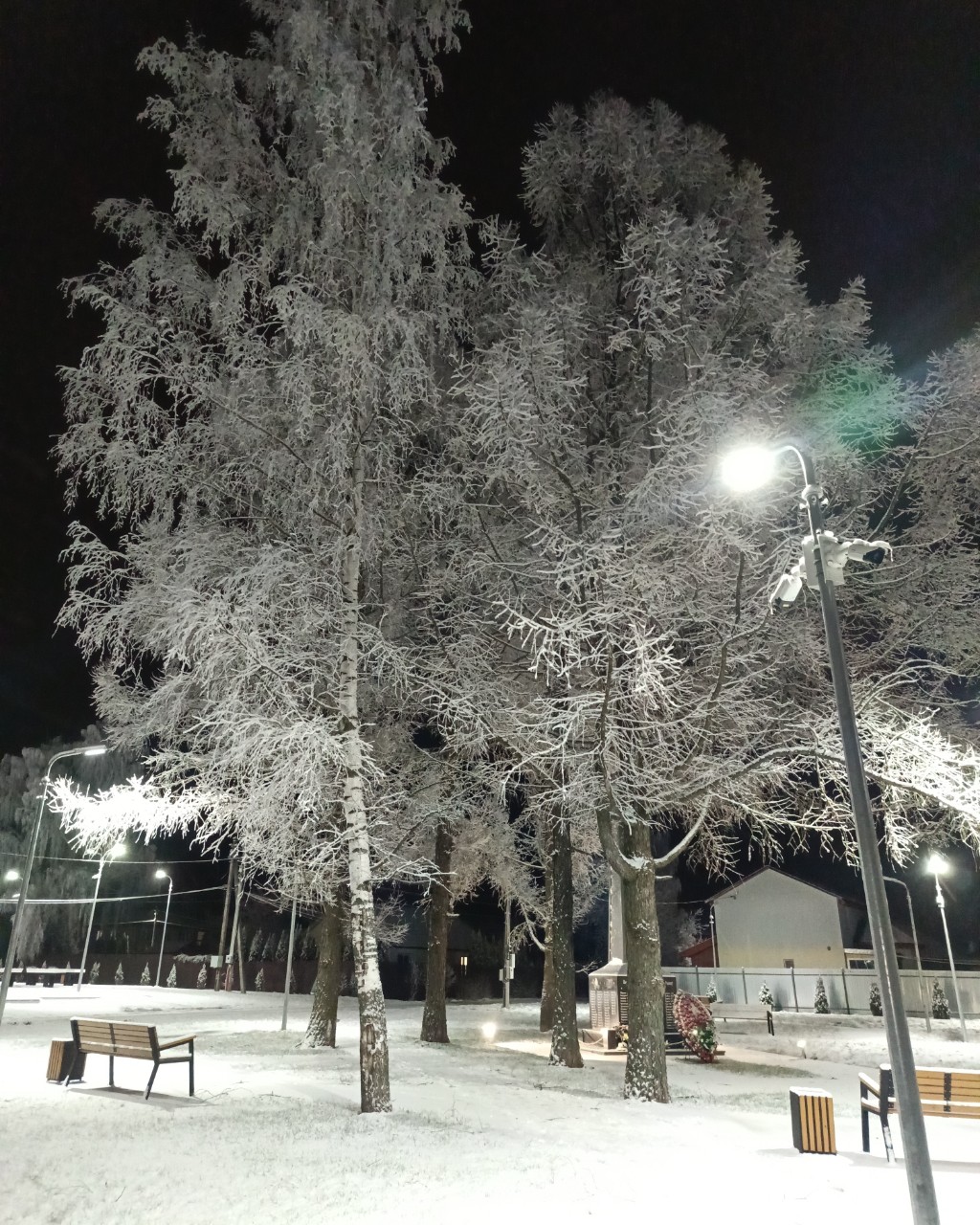 ❄️#сказочныедекорациизимы❄️#иней#красота#лепота