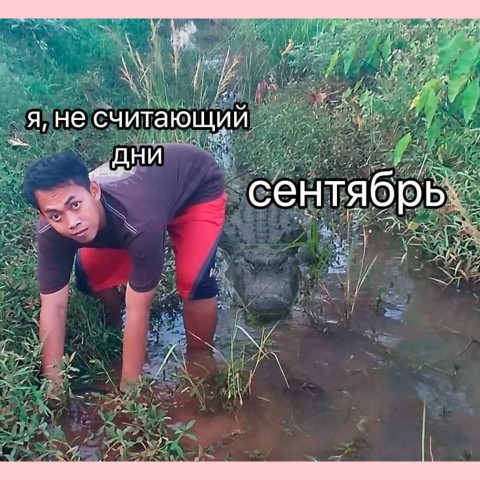 ira_shum в LOOKY. #иравместосториз,#юмор,#сарказм. #иравместосториз #юм...