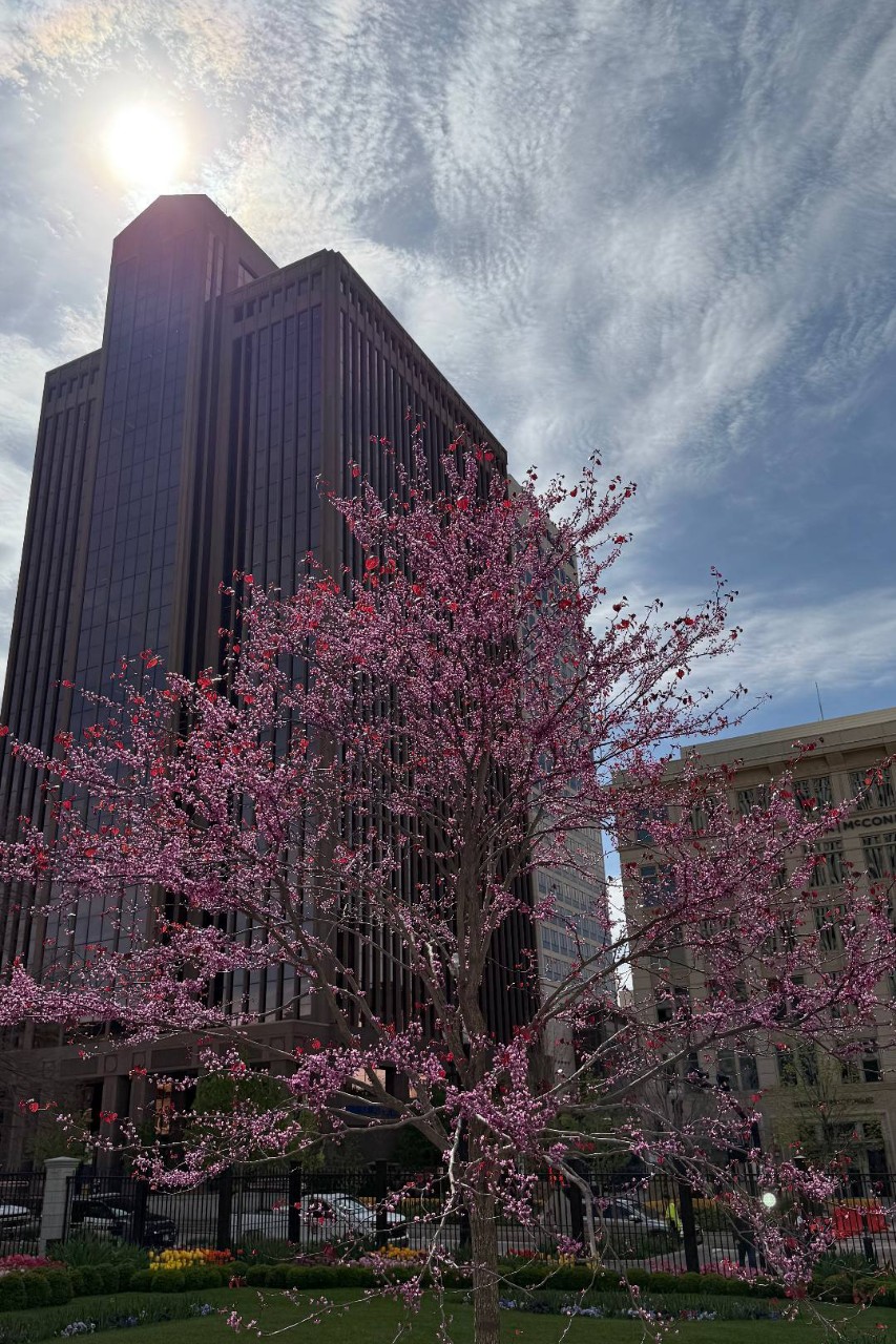 Наташа в LOOKY — фото 6